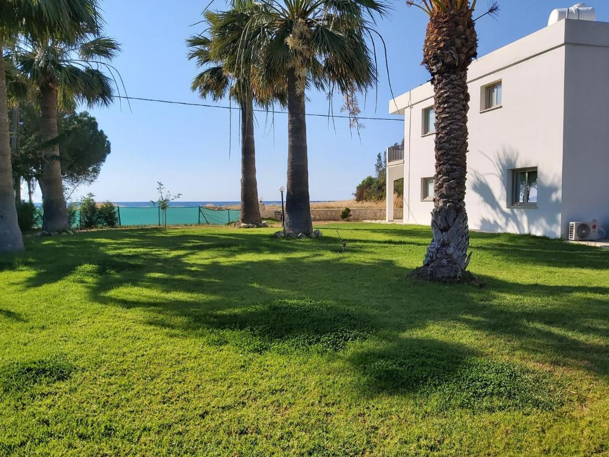 Argaka Palm Tree Apts المظهر الخارجي الصورة