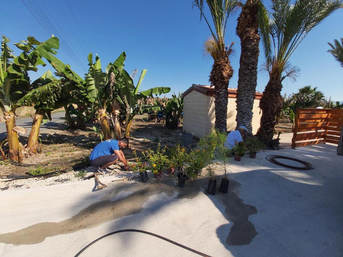 Argaka Palm Tree Apts المظهر الخارجي الصورة