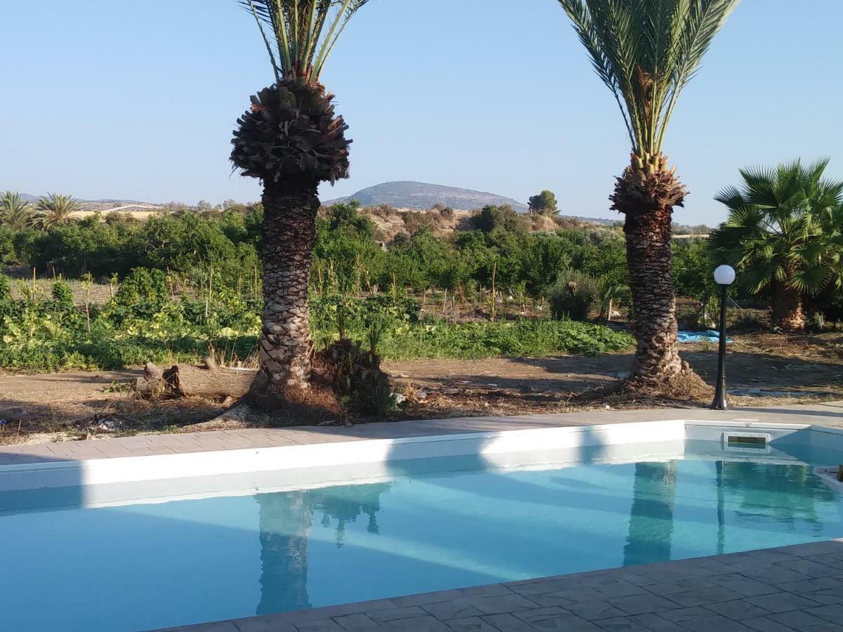 Argaka Palm Tree Apts المظهر الخارجي الصورة