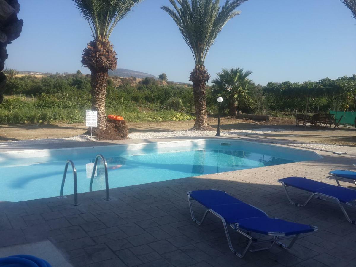 Argaka Palm Tree Apts المظهر الخارجي الصورة